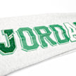 Jordan Court of Legends Pants grau 42896 5