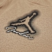 Jordan Junior Michael Jordan MVP Fleece Pullover Set brun 43047 4