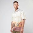 Dickies Running Wild Shortsleeve Shirt multicolor 44695 1