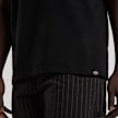 Dickies 02403828_productName zwart 44679 4