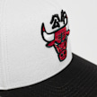 Mitchell & Ness Year Of The Snake NBA Chicago Bulls multicolor 44749 4