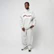 PUMA SDS Relaxed Graphic Track Jacket WV grijs 44982 5