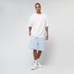 Lacoste Shorts bleu 45053 5