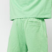Lacoste Shorts vert 45055 4