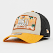 New Era A-Frame Trucker Licence Plate multicolor 45168 1