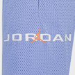 Jordan MJ Baseline Mesh Shorts niebieski 45874 3