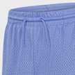 Jordan MJ Baseline Mesh Shorts niebieski 45874 5