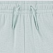 Jordan JDG Brooklyn Essential French Terry Short zelena 45900 3