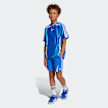 adidas Originals Woven 3-Streifen Shorts blau 45988 5