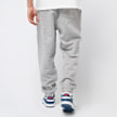 Polo Ralph Lauren Athletic Pants grijs 46051 2