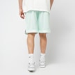 Karl Kani Signature Pinstripe Mesh Shorts vert 46999 2