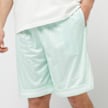 Karl Kani Signature Pinstripe Mesh Shorts vert 46999 3