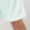 Karl Kani Signature Pinstripe Mesh Shorts vert 46999 4