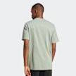 adidas Originals Trefoil Essentials T-Shirt vert 47147 2