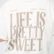 Pegador Tinca Heavy Oversized Tee beige 47207 4