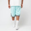 Karl Kani Small Signature Essential Mesh Shorts türkis 47359 2
