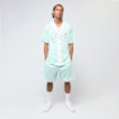 Karl Kani Small Varsity Logo Pinstripe Mesh Shorts bleu 47363 4