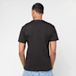 Mitchell & Ness NBA Toronto Raptors HWC Blaze Graphic Tee nero 48170 2