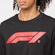 PUMA F1 Essential Logo Tee 180g schwarz 48428 3