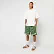 Prohibited SC Mesh Shorts grün 48323 4