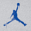 Jordan MVP High-Brand-Read Jumpman Fleece Hoodie grau 48404 3