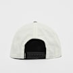 Jordan Jumpman Pro wit 48401 2