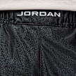Jordan Brooklyn Cat Scratch Shorts negro 48702 3