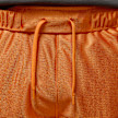 Jordan Brooklyn Cat Scratch Shorts orange 48703 3