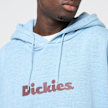 Dickies SLAYDEN GD HOODIE glacier lake bleu 48995 3