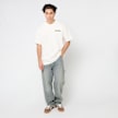 Dickies GORDONSVILLE TEE SS pine needle beige 49001 5