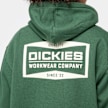 Dickies BOLIVAR FZ HOODIE pine needle green vert 49006 4