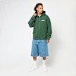 Dickies BOLIVAR FZ HOODIE pine needle green grün 49006 5