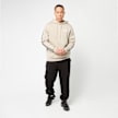 Under Armour Icon Fleece Hoodie Taping bege 49186 6