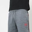 Under Armour Icon Fleece Short Taping gris 49185 5