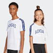 adidas Originals College Tee M brown bijela 49202 1