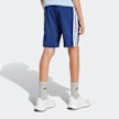 adidas Originals Woven Shorts blau 49206 2