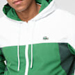 Lacoste Trainingsanzug verde 49342 4