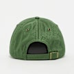 New Balance '47 Clean Up New Balance Script Suede groen 49788 2