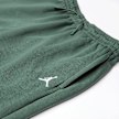 Jordan MJ Brooklyn Fleece Pant groen 91585 3