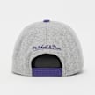Mitchell & Ness Tailsweeps Pro Snapback NBA Los Angeles Lakers szary 92336 2