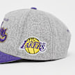 Mitchell & Ness Tailsweeps Pro Snapback NBA Los Angeles Lakers siva 92336 4