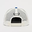 Field Grade BEWARE OF DOG TWILL MESH TRUCKER off white/game royal multicolor 94060 2