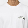 Dickies Bettsville Shortsleeve Tee bijela 94937 4