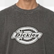 Dickies Plainville Shortsleeve Tee siva 94940 3