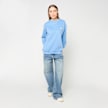 Another Cotton Lab What If Oversized Sweatshirt blau 96719 5