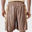 Jordan Brooklyn Cat Scratch Shorts multicolor 98165 2