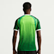 Nike   Nigeria 2026 Home Jersey zielony 98371 2