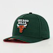 Mitchell & Ness Pro Crown NBA Chicago Bulls verde 99059 1