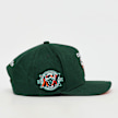 Mitchell & Ness Pro Crown NBA Chicago Bulls verde 99059 3