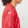 PUMA Egyptian FA Home Jersey Replica rood 99146 5